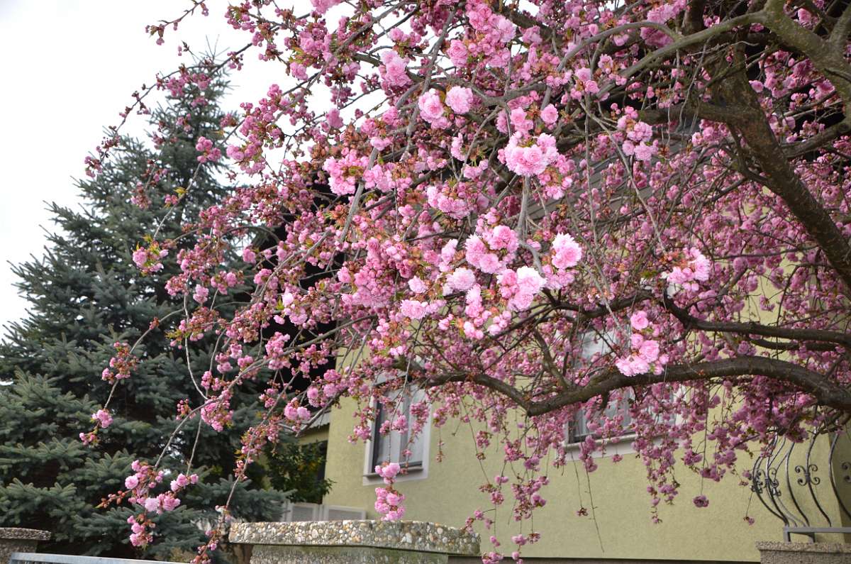 2014-03-31 16-31-33.JPG